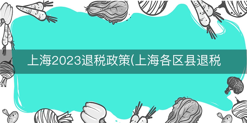 上海2023退税政策(上海各区县退税政策)