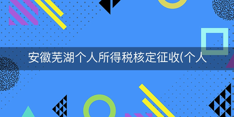 安徽芜湖个人所得税核定征收(个人所得税核定征收表)