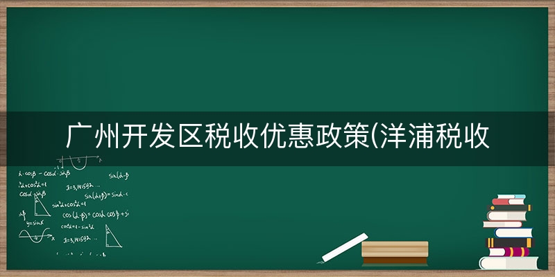广州开发区税收优惠政策(洋浦税收优惠政策)